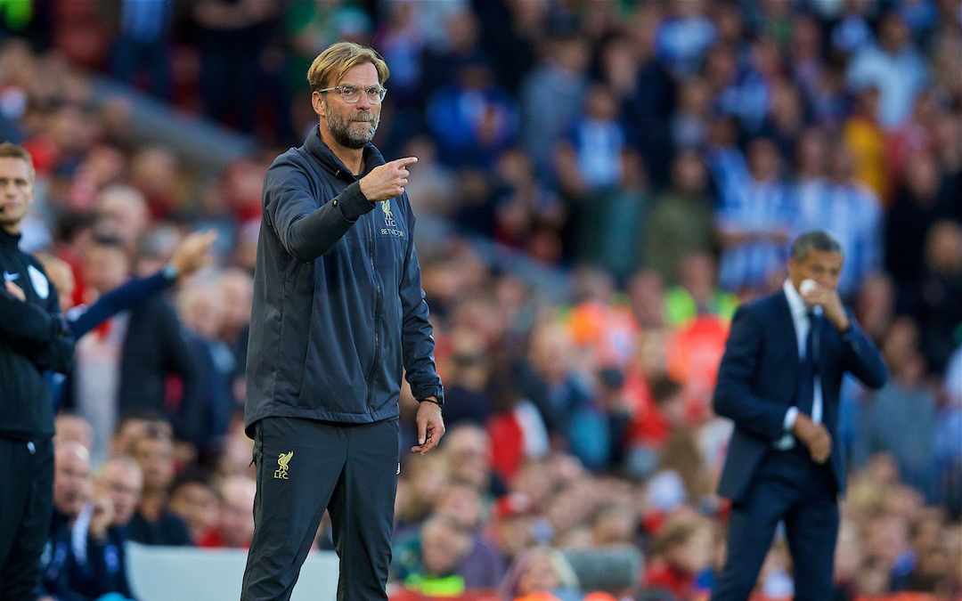 Brighton & Hove Albion v Liverpool: The Big Match Preview