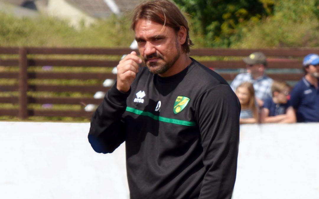 Lower League: Canaries In Top Flight