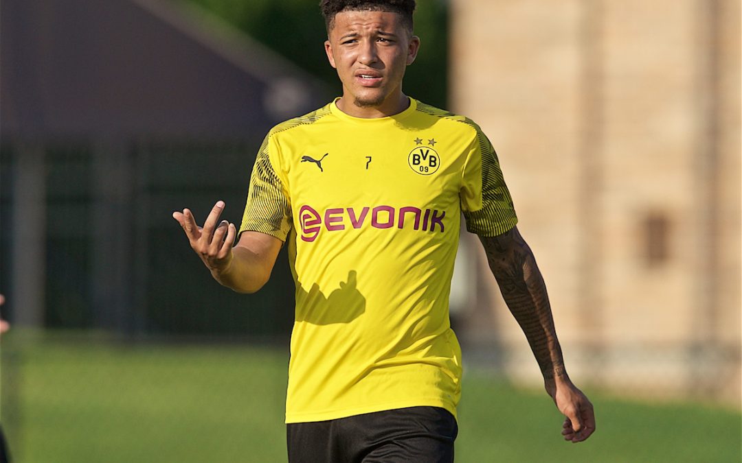 Wildcards: Sancho 2020