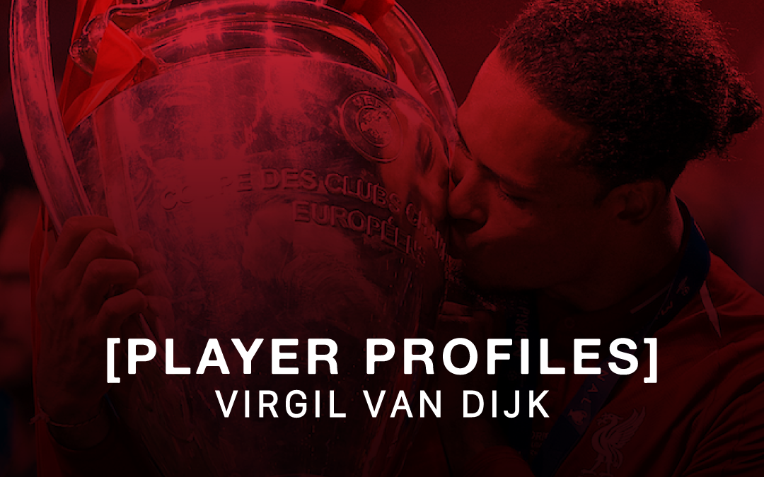 Virgil van Dijk: Player Profiles