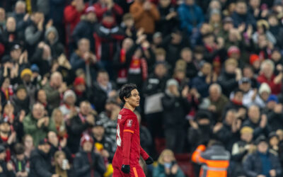 Takumi Minamino's A Perfect Fit For Jurgen Klopp's Liverpool Squad