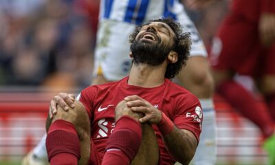 Liverpool 3 Brighton & Hove Albion 3: Match Ratings