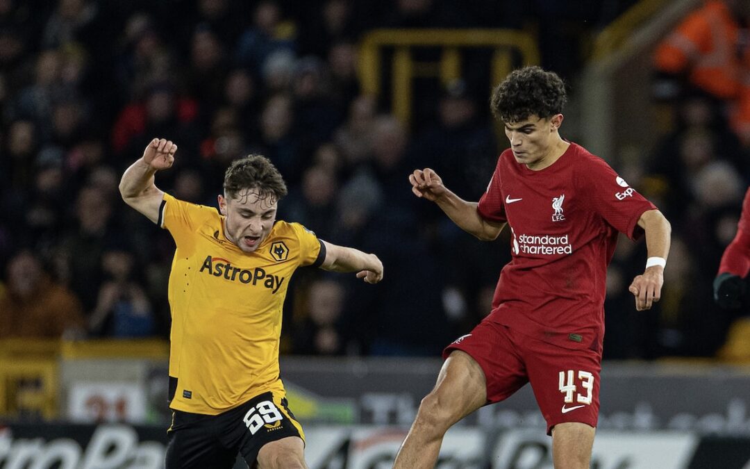 Wolves 0 Liverpool 1: Match Ratings