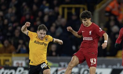 Wolves 0 Liverpool 1: Match Ratings