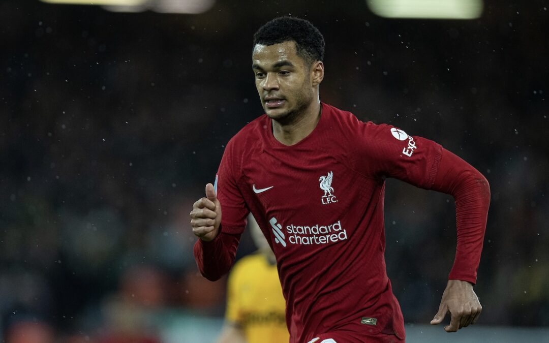 Liverpool's Cody Gakpo during the FA Cup 3rd Round match between Liverpool FC and Wolverhampton Wanderers FC at Anfield