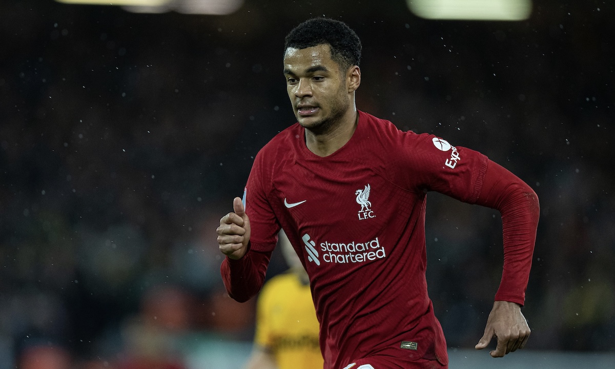 Liverpool's Cody Gakpo during the FA Cup 3rd Round match between Liverpool FC and Wolverhampton Wanderers FC at Anfield