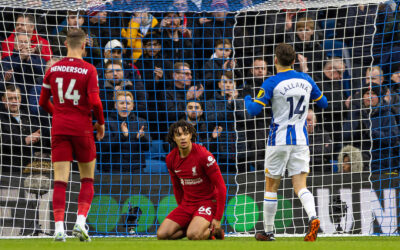 Brighton & Hove Albion 3 Liverpool 0: Sunday Best