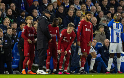 Brighton & Hove Albion v Liverpool: The FA Cup Preview