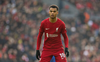 Liverpool's Cody Gakpo during the FA Premier League match between Liverpool FC and Chelsea FC at Anfield