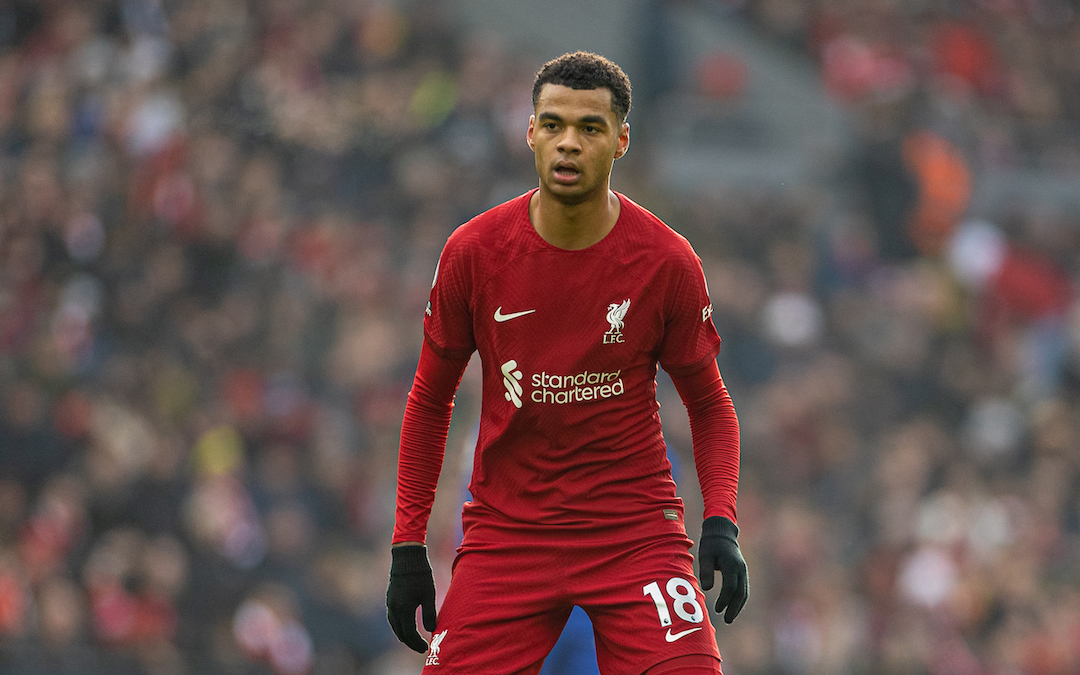 Liverpool's Cody Gakpo during the FA Premier League match between Liverpool FC and Chelsea FC at Anfield