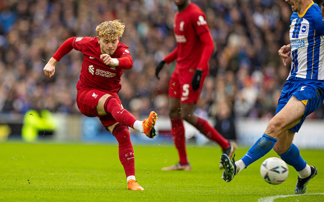 Brighton & Hove Albion 2 Liverpool 1: Match Ratings