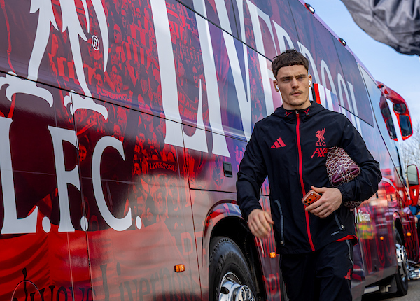 Wirtz Case Scenario: Wildcards